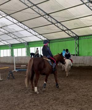 [VIDEO] Klub jeździecki k. Konstancina-Jeziornej uratowany! Sąd uznał racje Biura Rutkowski i Telewizja.Patriot24.net!