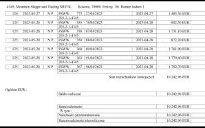 [VIDEO] PATRIOT24 RUTKOWSKI W AKCJI: Niemiec, który wyłudził od Polaka 100 tys. euro, przyznaje się do długu. Dlaczego się nie rozlicza?