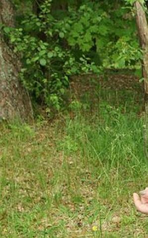 [VIDEO] Trojaczki zamieszkały w leśniczówce