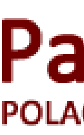 [VIDEO] Spotkanie Pary Prezydenckiej z paralekkoatletami w Berlinie