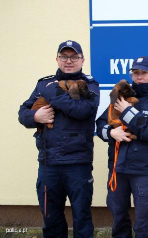 Mantrailing - polska edycja