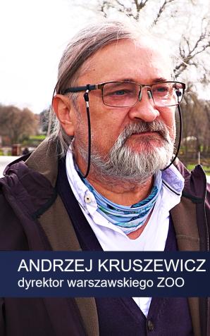 [VIDEO] Warszawskie ZOO: Powstanie nowa małpiarnia, powiększymy wybieg dla gepardów. Będą też kapibary