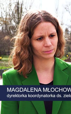 [VIDEO] Warszawa staje się jedną z bardziej zielonych europejskich stolic. Ponad 15 proc. powierzchni stanowią lasy