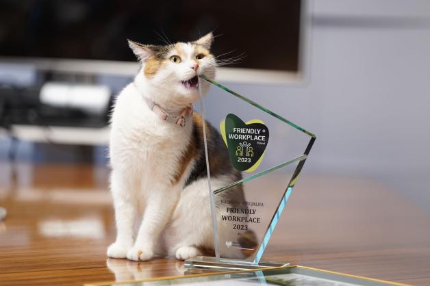 Nagroda Friendly Workplace 2023 dla MRiT